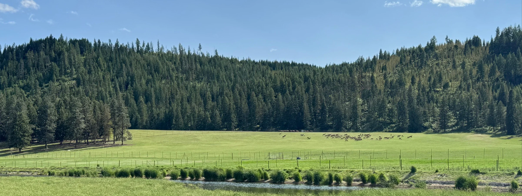 Blanchard Valley Ranch
